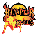 Bijapur Bulls, Bijapur KPL T20, Bijapur 2009