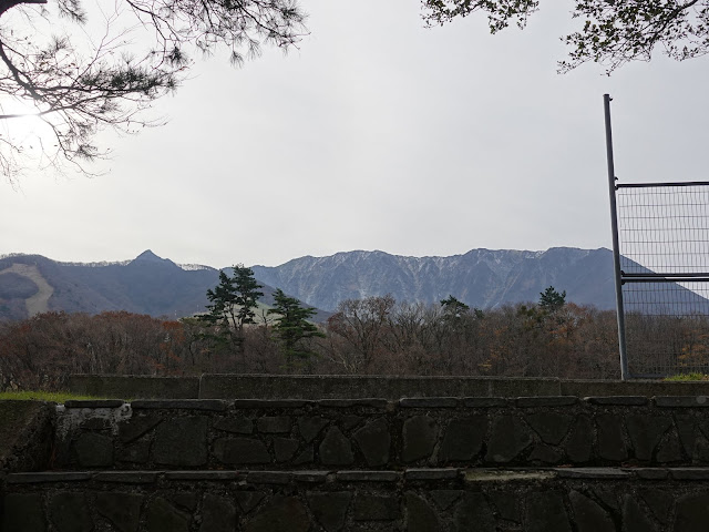 大山町 大山総合体育館　グランドからの眺望