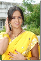 Tanu Roy in saree_hot1