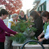 Making Greenery Centerpieces