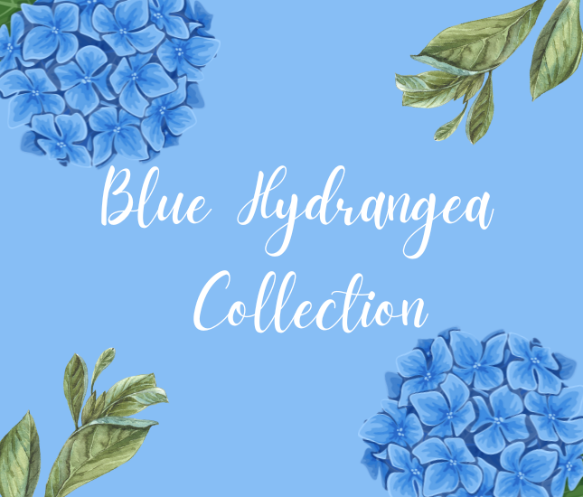 Blue Hydrangea Collection