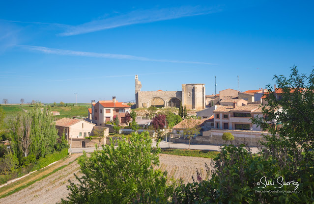 Tiedra, mucho más que campos de lavanda