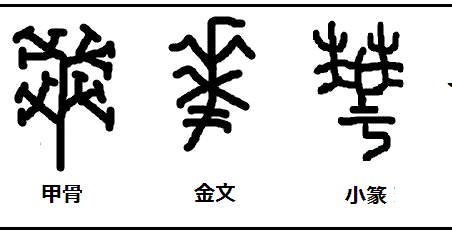 漢字考古学の道 漢字の由来と成り立ちから人間社会の歴史を遡る 華 民族主義の原点 中華の 華 の語源と由来
