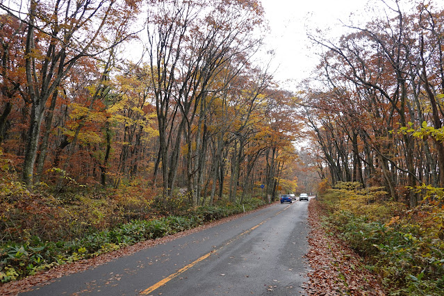 鳥取県道45号倉吉江府溝口線（大山環状道路）