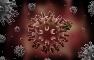 Virus Penyakit Herpes