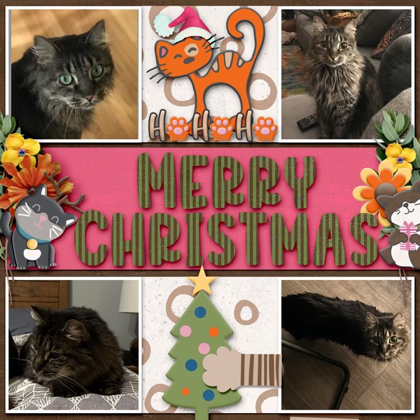 cat Christmas designs