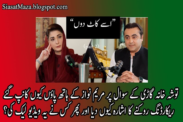 Maryam Nawaz Leak Video with Mansoor Ali Khan Interview - Kia Maryam ki ye Video Mansor Ali Ne Khud Leak Ki?