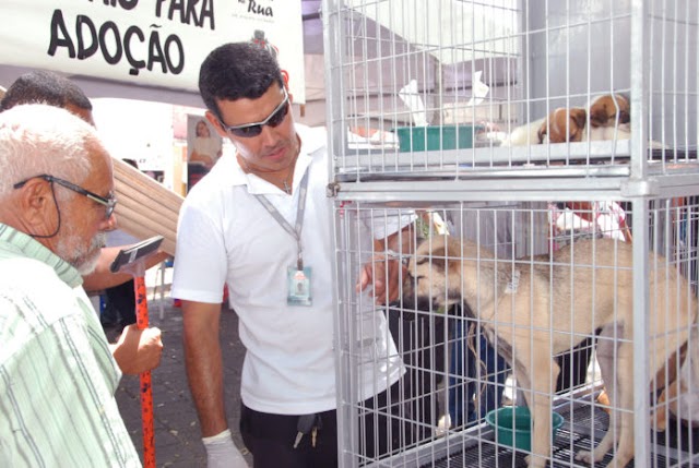 Manaíra recebe feira de adoção de animais neste domingo