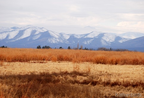 1. Snowy mountains-kab
