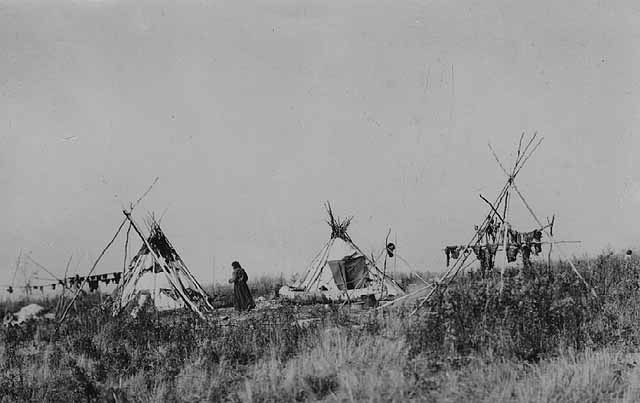 Minnsota Buffalo Hunt - Butchering