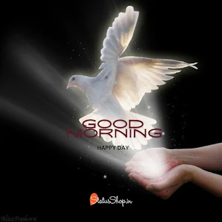 Best-The-Good-Morning-Images