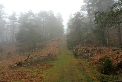 Camino que rodea la cima por el oeste y el norte