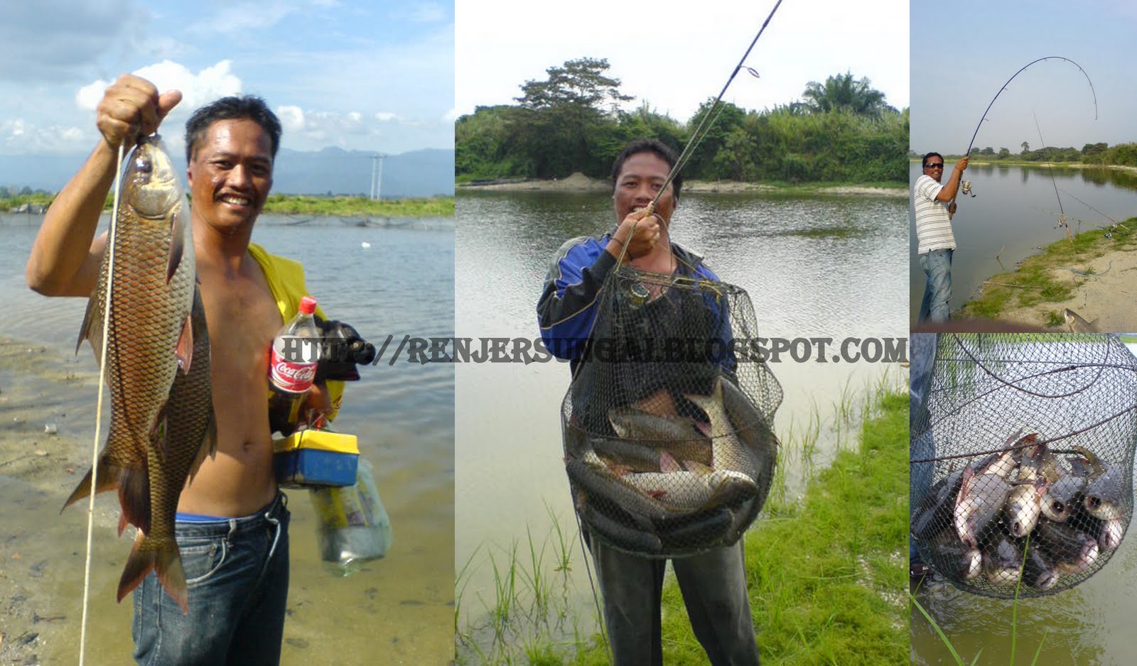 Renjer Sungai: INFO TENTANG IKAN ROHU/ARA