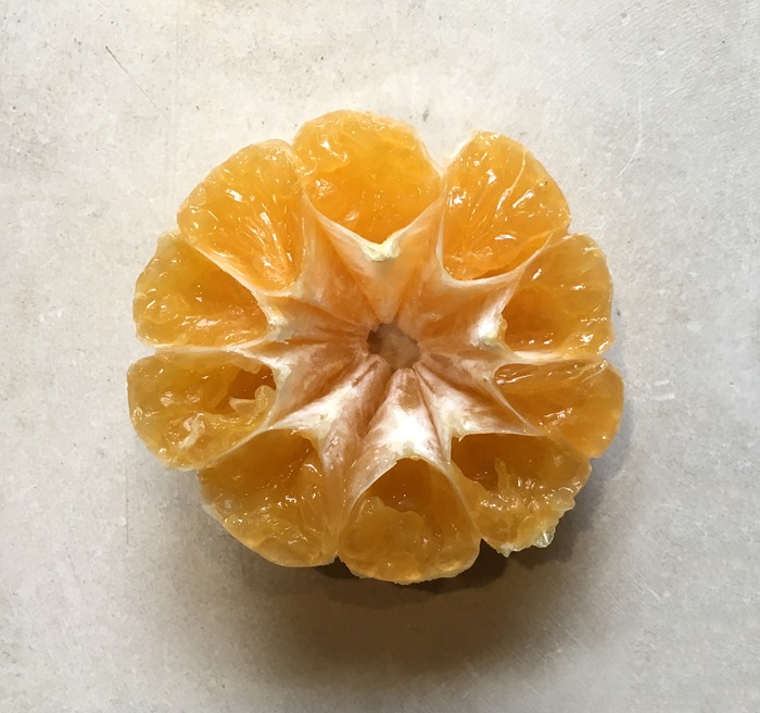 01 Cut Clementine