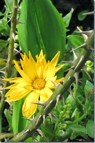 5-may-3