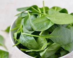 Spinach-immune-system