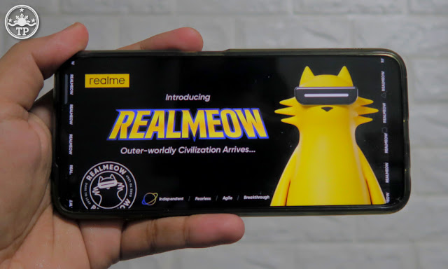 REALMEOW Cat, realme Brand Character,