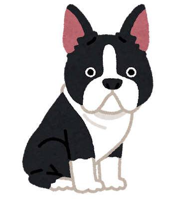 ボストン・テリアのイラスト（犬）