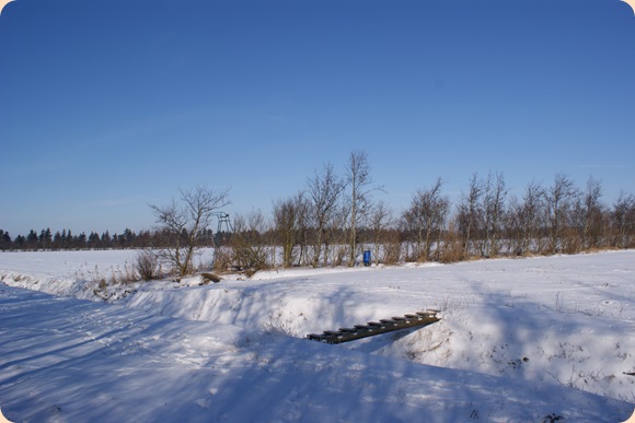 foderautomat og hochsitz