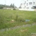 Panvel 62073 Sqft Commercial Land For Sale at (6.5 cr) Near Panvel Karanala Forest, Mumbai, Maharashtra