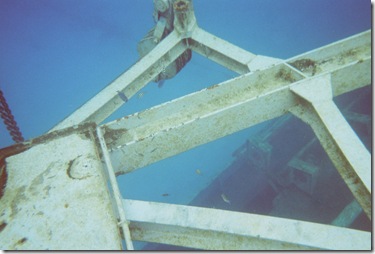 100.  Snorkeling
