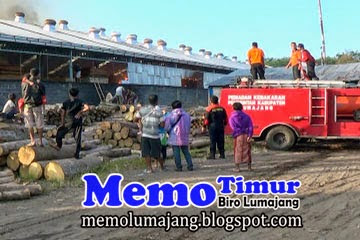 pabrik kayu terbakar habis