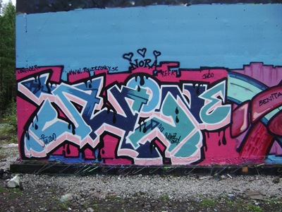 DSC04178