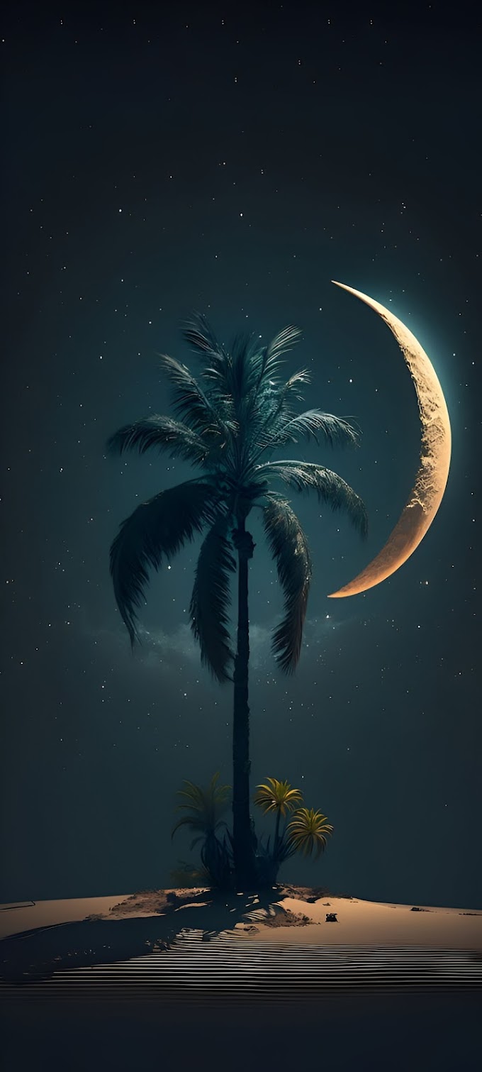 Palm Tree Wallpaper for iPhone