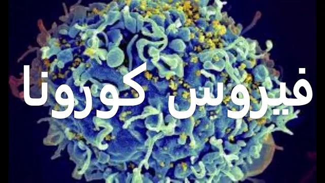 الوقاية من فيروس كورونا,الوقاية من فيروس كورونا ، مع انتشاره عالميا.. 6 نصائح تساعدك على الوقاية من فيروس كورونا. كورونا.. معلومة مثيرة عن طرق العدوى قد تغير إجراءات الوقاية,معنى كلمة مريض بالانجليزي,قناة العربية مباشر,علاج الصعقة الكهربائية,رئيس كوريا الجنوبية الحالي,قناة الغد الاخبارية,حساسية تجاه الضوء,زعيم كوريا الشمالية حلاقة,كوريا الشمالية,بنات نانسي عجرم,رئيس كوريا الجنوبية الشمالية,زعيم كوريا الجنوبية,فيروس كورونا,كورونا,تلفزيون,فيروس,الصين,الوقاية من فيروس كورونا,العربية,طرق الوقاية من فيروس كورونا,المملكة,السعودية,خريطة فيروس كورونا,تداعيات فيروس كورونا,أسباب فيروس كورونا,المطبخ,فيروس الكورونا,مرض,وباء فيروس كورونا المستجد,تقرير,السلط,كورونا,فيروس كورونا,علاج كورونا,الصين,اعراض فيروس كورونا,طرق علاج كورونا,فيروس,اعراض كورونا,منظمة الصحة العالمية,اخبار اليوم,كورونا الصين,الرئيس السيسي,الوقاية من فيروس كورونا,مرض كورونا’’,إيران,تركيا,السيسي,عدد وفيات فيروس كورونا,Prevention of corona virus, with its spread globally .. 6 tips that help you to prevent corona virus. Corona ... exciting information about infection methods may change prevention measures, meaning sick word in English, Al Arabiya channel direct, treatment of electric shock, current South Korean president, Al-Ghad news channel, sensitivity to light, North Korean leader, haircut, North Korea, Nancy Ajram's daughters Corona Virus Corona, TV, Virus, China, Corona Virus, China, Corona Virus Prevention, Kingdom of Saudi Arabia, Corona Virus Map, Corona Virus Implications, Corona Virus Causes, Kitchen, Corona Virus, Disease, New Corona Virus Epidemic, Report, Salt, Core Na, Corona virus, Corona treatment, China, Corona virus symptoms, Corona treatment methods, Corona virus, symptoms, WHO, Today's news, China Corona, Sisi president, Corona virus prevention, Corona disease '', Iran, Turkey, Sisi, the number of corona virus deaths,