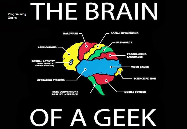 brain  Geek