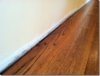 Den Trim_3