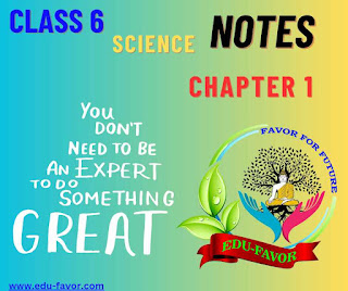 Latest NCERT Pattern 2024 Class 6 science chapter 1 components of food Notes with pdf in English | नवीनतम एनसीईआरटी कक्षा 6 विज्ञान पाठ 1 भोजन के घटक का हैंडराइटिंग नोट्स पीडीएफ इंग्लिश में | EDU-Favor