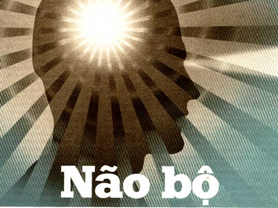 NÃO BỘ TRONG LÚC THIỀN ĐỊNH