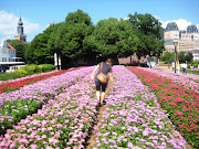 Seasonal flower festivals at Huis Ten Bosch Theme Park. [English Info] (img )