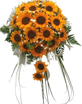 sunflower bouquets for weddings. breath wedding bouquet.