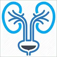 Kidney Specialist in Barisal