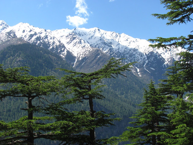 Himalayan view at Kalpa