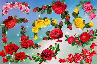 Very Beautiful Roses png format for Designing new