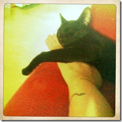 clem foot