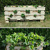 Great Diy Strawberry Pallet Planter