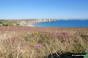 Presqu'île de Crozon - pointe de Pen Hir