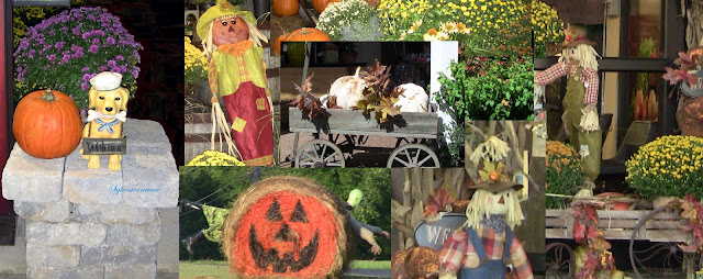 Learn how to create a beautiful fall harvest display in yards or porch, capture the brilliance of flowers and combine it with the great harvest fest.