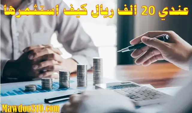 عندي 20 الف ريال كيف استثمرها