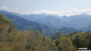 南投景點|清境高空觀景步道