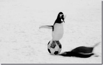 headsliding_pengin