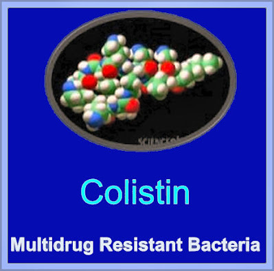 Colistin Resistant Bacteria Now Here