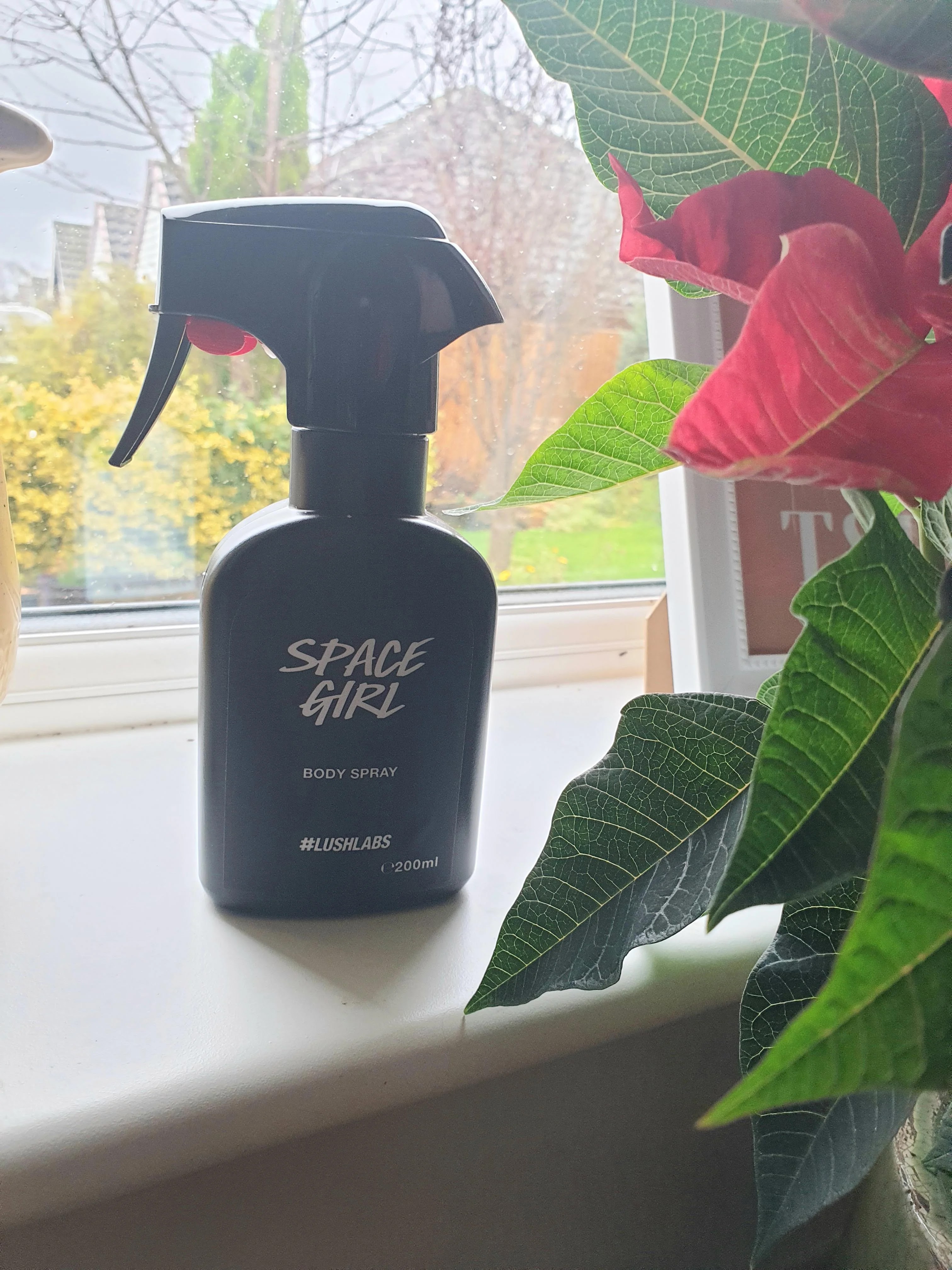Body Spray
