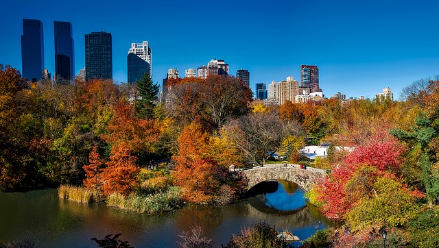 Central Park, New York City