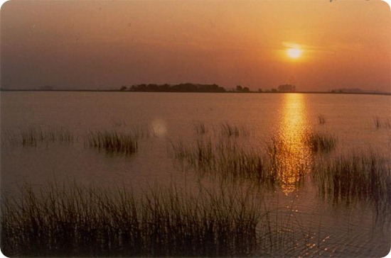 Laguna_de_Chascomus