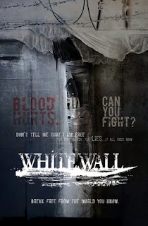 White Wall 2010 Hollywood Movie Watch Online